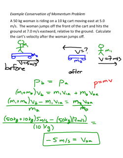 Conservation of Momentum Example Problems