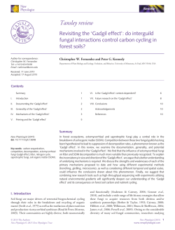 do interguild fungal interactions control carbon cycling in forest soils?
