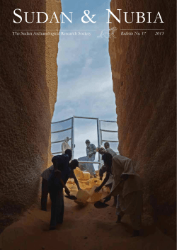 The Sudan Archaeological Research Society Bulletin No. 17 2013