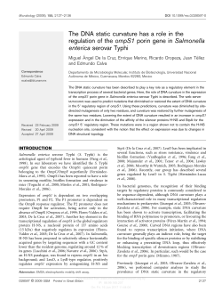 The DNA static curvature has a role in the regulation