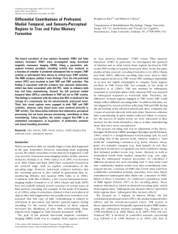 Differential Contributions of Prefrontal, Medial