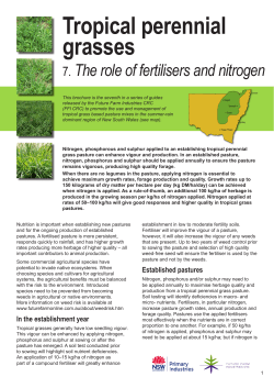Tropical perennial grasses - Future Farm Industries CRC