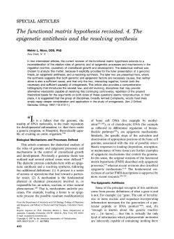 The functional matrix hypothesisrevisited. 4. The epigenetic