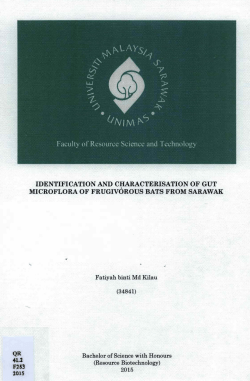 identification and characterisation of gut microflora of