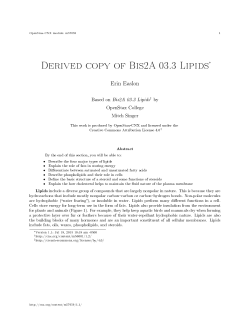 Derived copy of Bis2A 03.3 Lipids