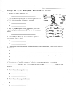 DNA structure worksheet