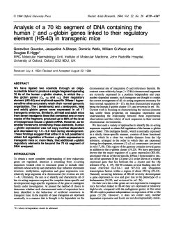 Analysis of a 70 kb segment of DNA containing the