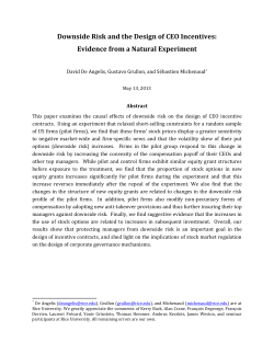 Downside Risk and the Design of CEO Incentives: Evidence from a