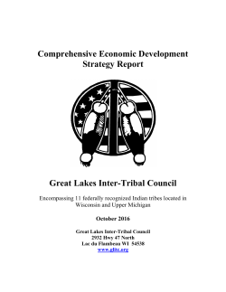 The GLITC Comprehensive Economic Development Strategy