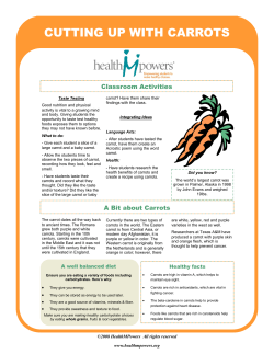 cutting up with carrots