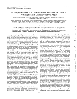 N-Acetylputrescine as a Characteristic Constituent of