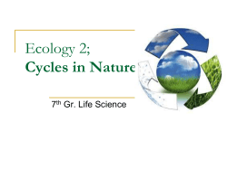 Ecology 2, cycles in nature notes for students