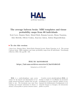 The average baboon brain: MRI templates and tissue
