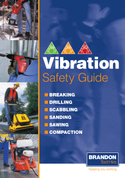 brandon vibr. safety guide