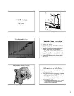 Fossil Hominids