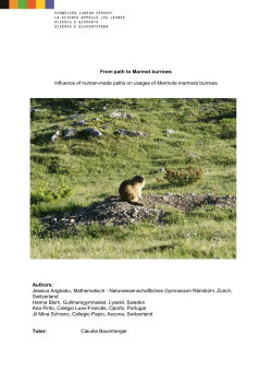 From path to Marmot burrows Influence of human