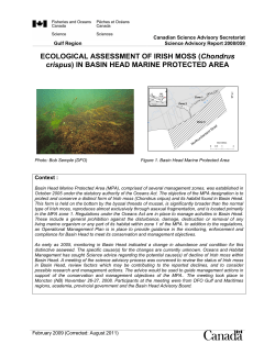 Ecological Assessment of Irish Moss (Chondrus Crispus) in Basin