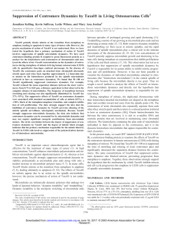 Suppression of Centromere Dynamics by Taxol&reg; in Living