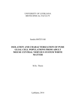 isolation and characterization of pure glial cell populations from