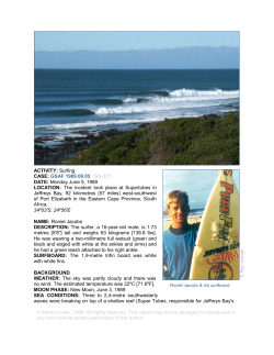ACTIVITY: Surfing CASE: GSAF 1989.06.05 / SA