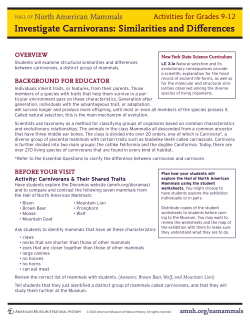 Hall of North American Mammals Featuring Carnivorans Activities