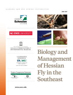 Biology and Management of Hessian Fly in the Southeast