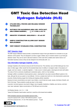 GMT Hydrogen Sulphide Detection Head Product Brochure