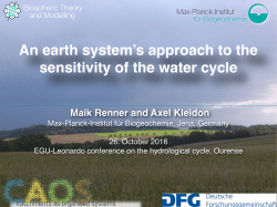 An earth system`s approach to the sensitivity of the water cycle