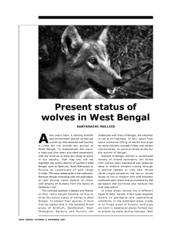 Present status of wolves in West Bengal