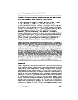 Pathways of carbon cycling in the euphotic zone: the fate of large