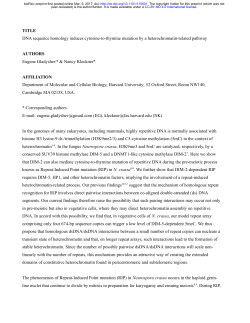 DNA sequence homology induces cytosine-to-thymine