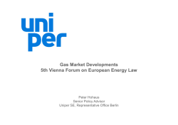 Gas Market Developments 5th Vienna Forum on European Energy