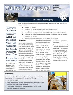 SC Winter Beekeeping - South Carolina Beekeepers Association