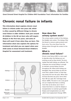 Chronic renal failure in infants