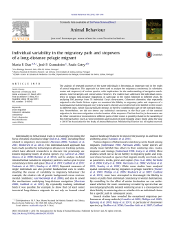 Individual variability in the migratory path and stopovers of a long
