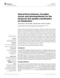 Interactions between circadian clocks and photosynthesis for the