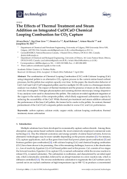 Full-Text PDF