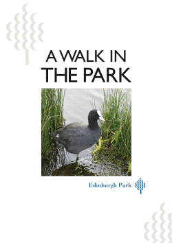 THE PARK - EDI Group