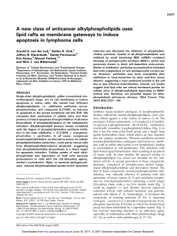 A new class of anticancer alkylphospholipids uses lipid rafts as
