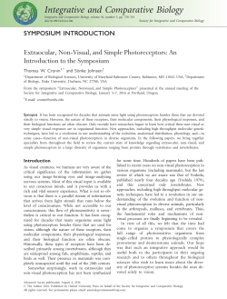 Extraocular, Non-Visual, and Simple