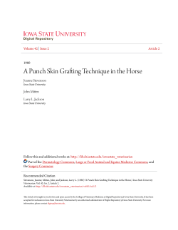 A Punch Skin Grafting Technique in the Horse