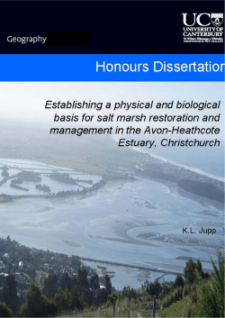 Establishing a Physical and Biological Basis for Salt Marsh