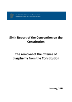 Sixth Report - Constitutional Convention