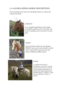 la alegria riding-horse descriptions