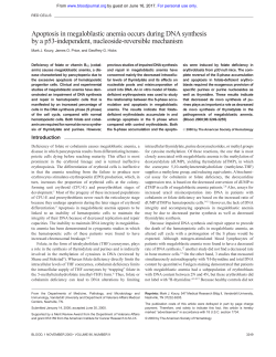 Apoptosis in megaloblastic anemia occurs during DNA synthesis by