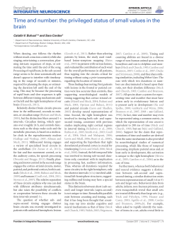 Time and number: the privileged status of small