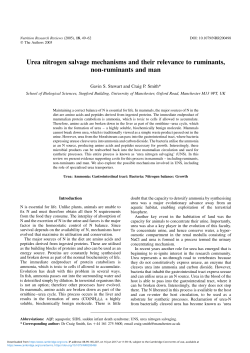 Urea nitrogen salvage mechanisms and their relevance to ruminants