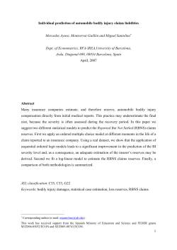1 Individual prediction of automobile bodily injury claims liabilities