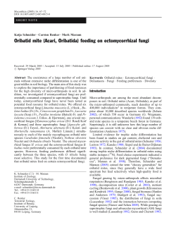 Oribatid mite (Acari, Oribatida) feeding on ectomycorrhizal fungi