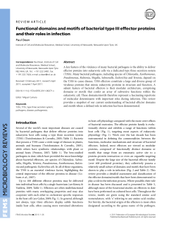 Functional domains and motifs of bacterial type III effector proteins